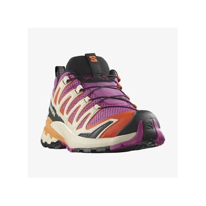 Chaussures Femmes Salomon XA PRO 3D V9