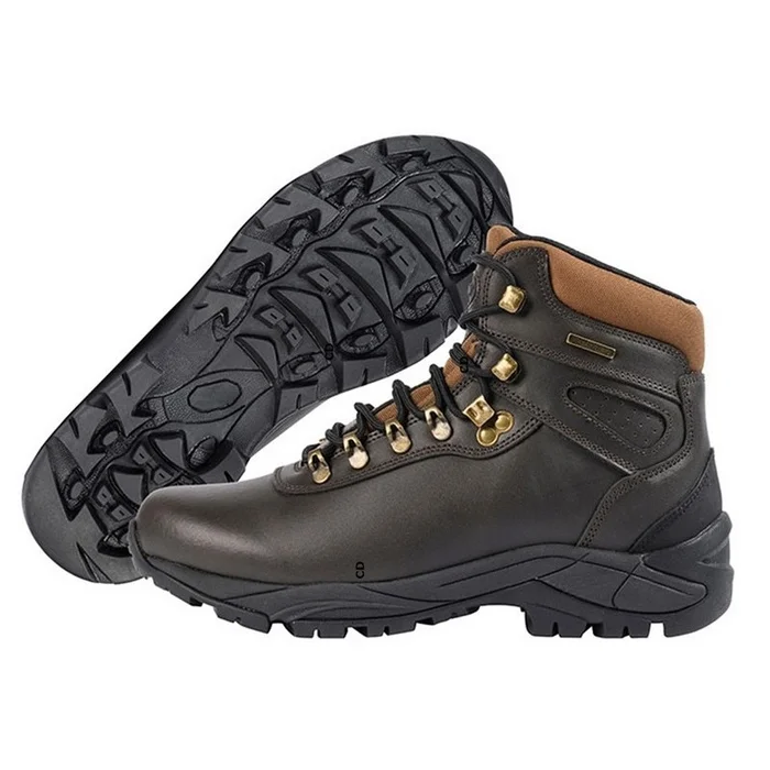 Chaussures Homme Verney Carron Milan Marron