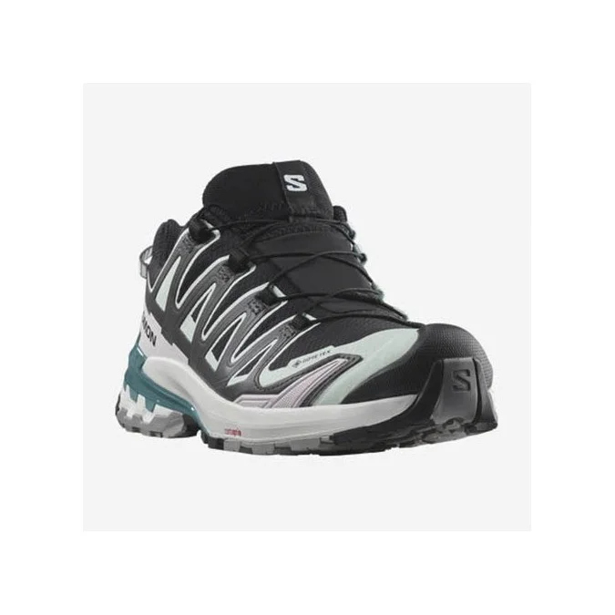Chaussures Trail Femme Salomon XA PRO 3D V9 GTX