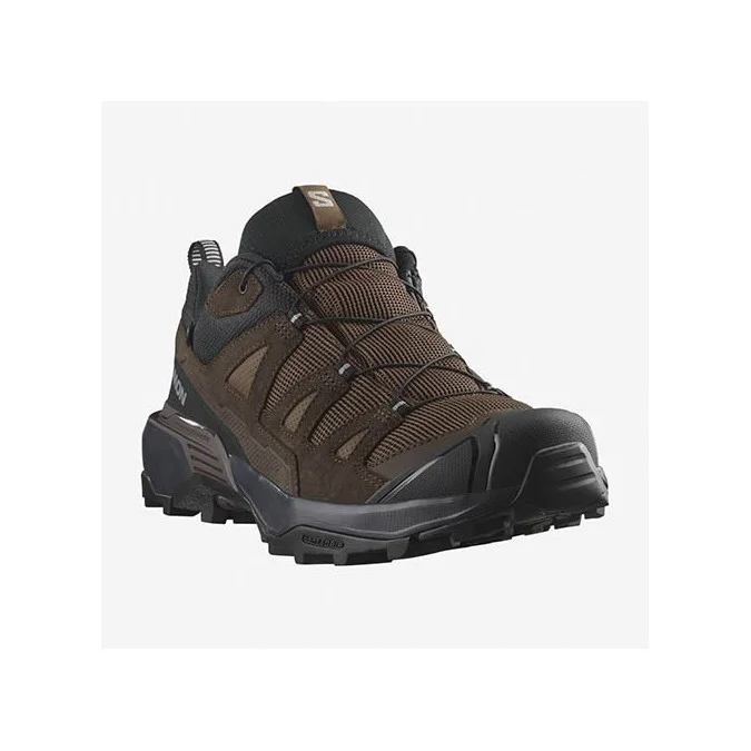 Chaussures Trekking Salomon X Ultra 360 Leather GTX