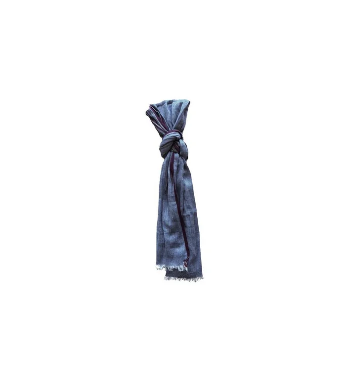 Cheche zig bleu Stagunt
