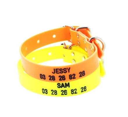 Collier gravé PVC petit chien orange fluo – Image 2