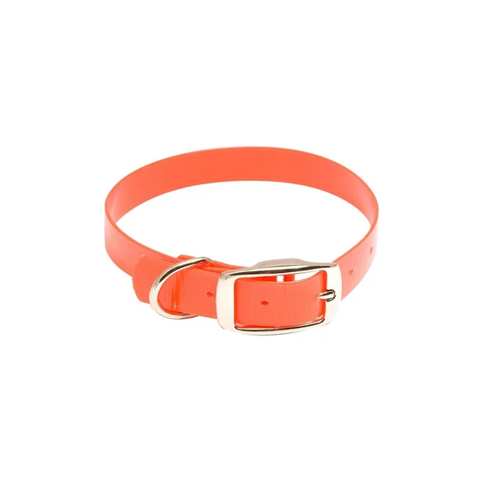 Collier pour chien Hiflex Country