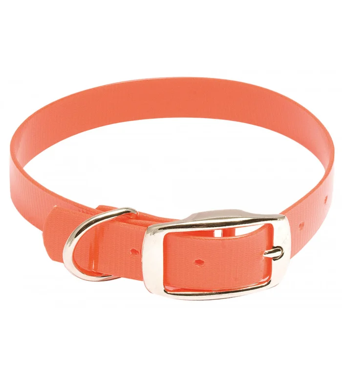 Collier pour chien Hiflex orange fluo – Country