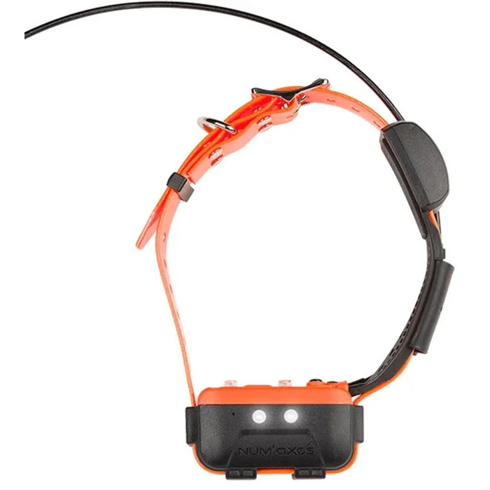 Collier supplémentaire de Localisation CANICOM GPS 2