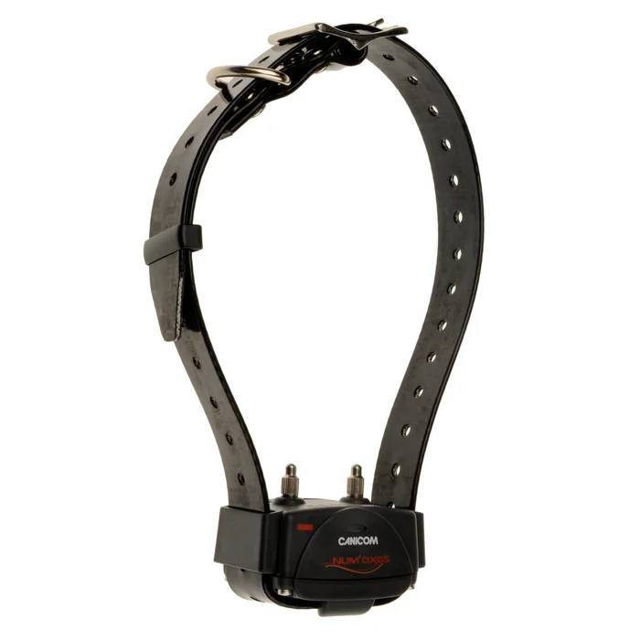 Collier Supplémentaire pour Kit Canicom