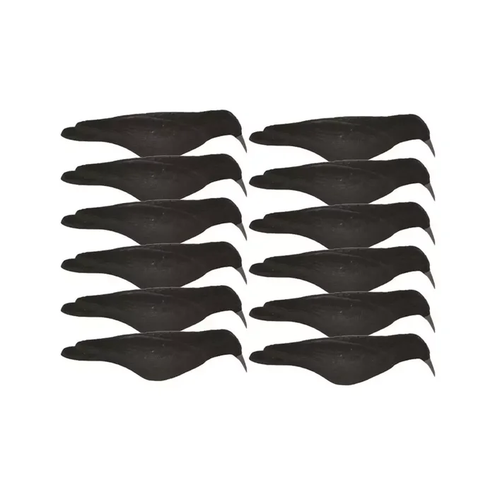 Coquille de corbeau floquée x12