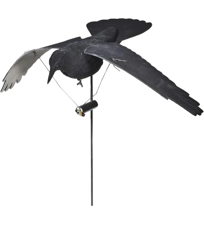 Corbeau à ailes tournantes électrique 6v Stepland