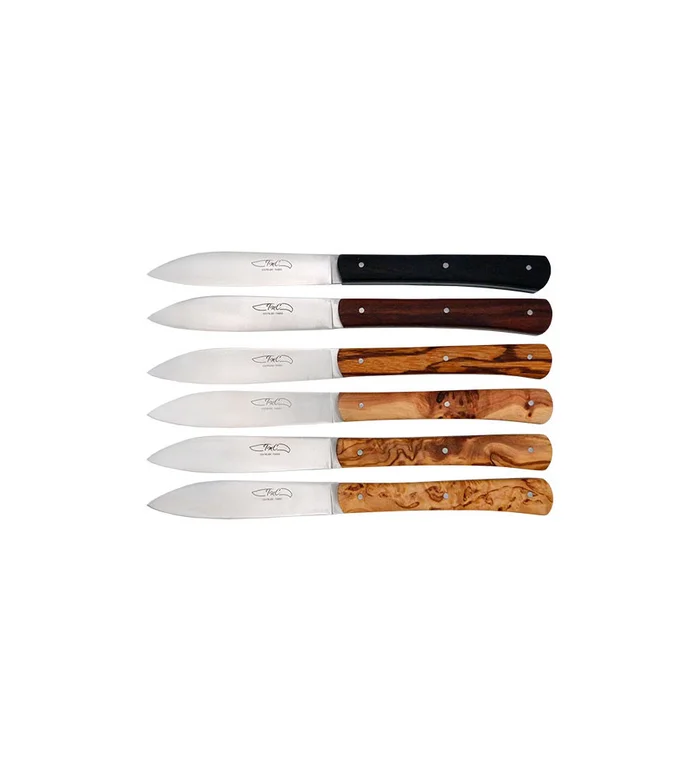 Couteau TMC Zen Table – Coffret 6 couteaux Panaché / 10 cm