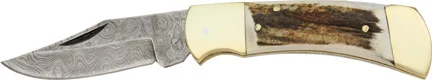 DM1019 Damascus 4″ Stag Folder