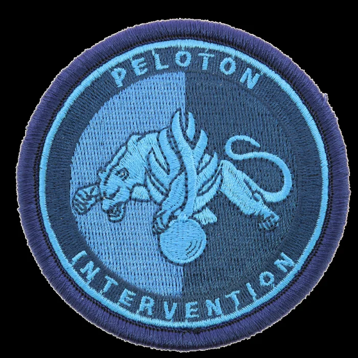 Ecusson Peloton Intervention Gendarmerie BV bleu