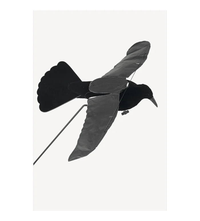 Forme de corbeau step-flap Stepland