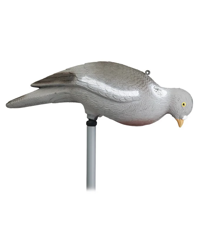 Forme de pigeon picoreur sans patte Stepland