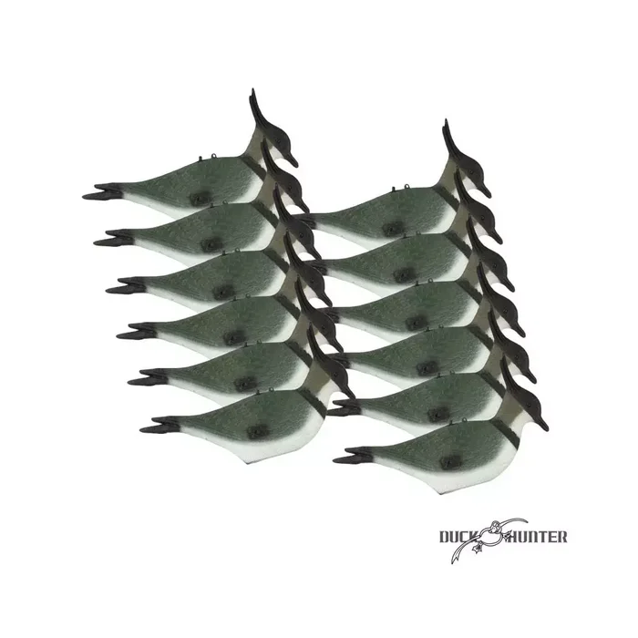 Forme de vanneau magnum x12