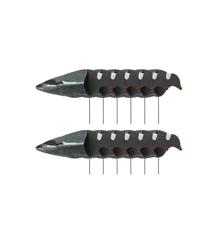 Forme manche à air pigeon ramier Sillosocks x12