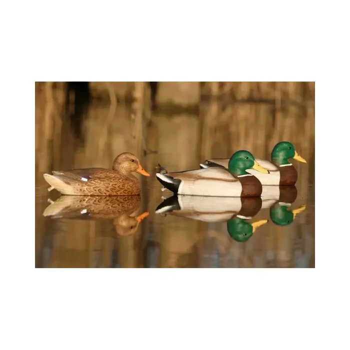 Formes de colvert HD peinture UVision