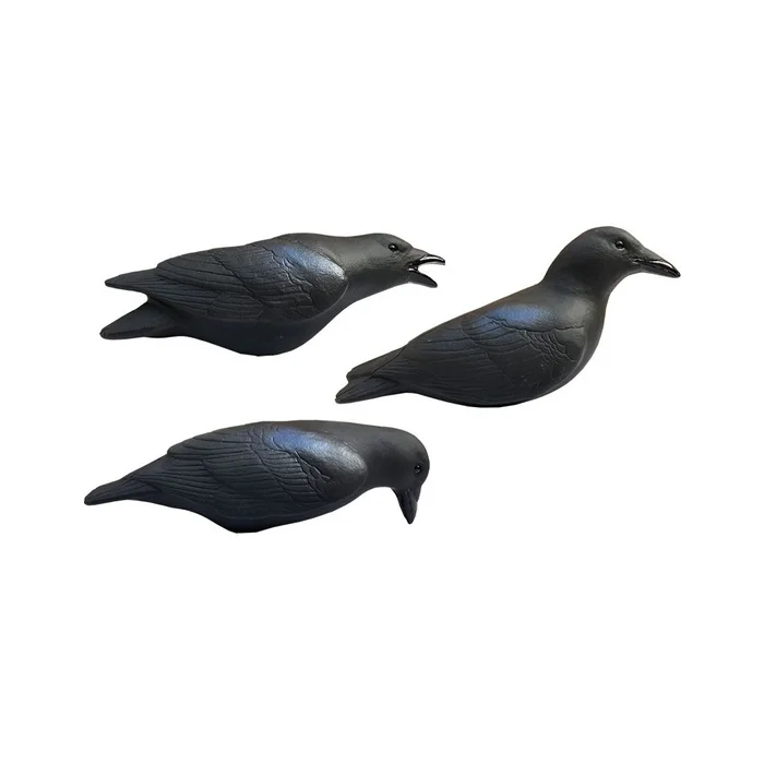 Formes de corbeaux actives magnums x3