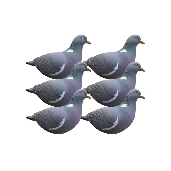 Formes de pigeon actif Last Pass x6