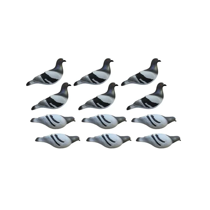 Formes de pigeon biset HD x12