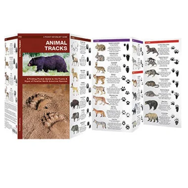 Guide de poche des traces d’animaux