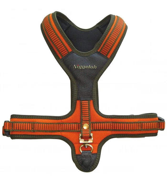 Harnais néoprène orange pour chien – Niggeloh