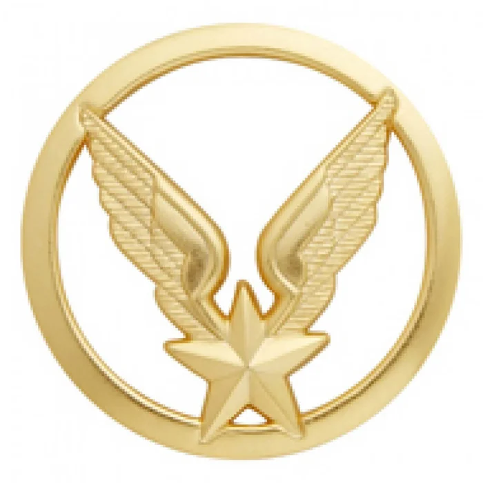 Insigne Militaire Aviation Légère Armée de Terre