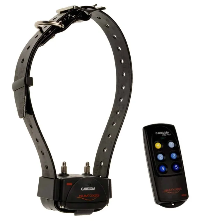Kit Collier d’éducation Canicom 200 First – 200m