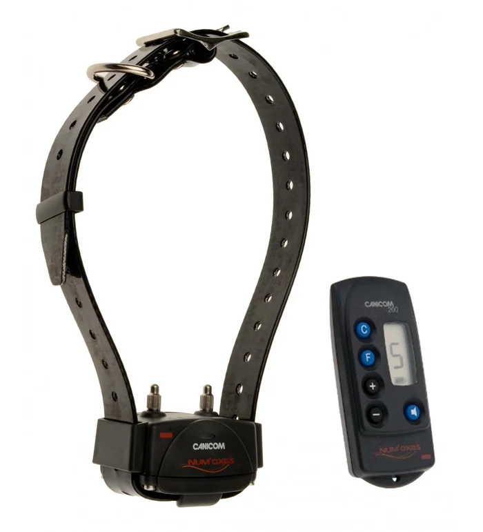 Kit Collier d’éducation Canicom 200 – 200m