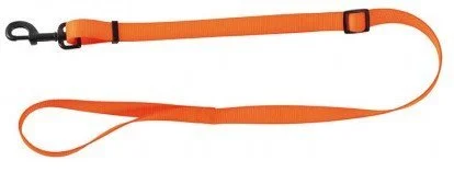 Laisse pour chien 120 cm orange STEPLAND