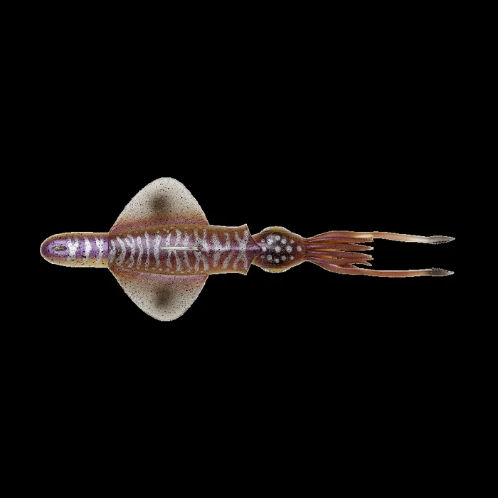 Leurre Souple Savage Gear Swim Squid RTF 25cm