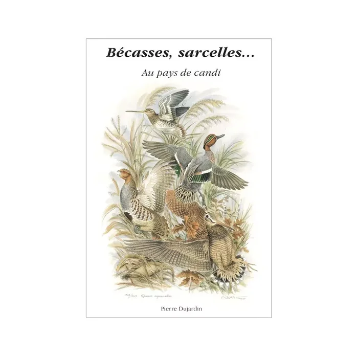 Livre Bécasses, Sarcelles au pays de candi