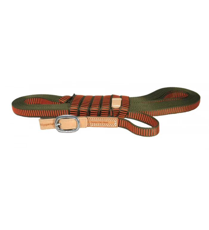 Longe pour chien de sang orange et verte – Niggeloh