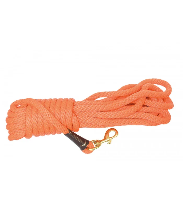 Longes d&rsquo;entraînement orange pour chien – Country