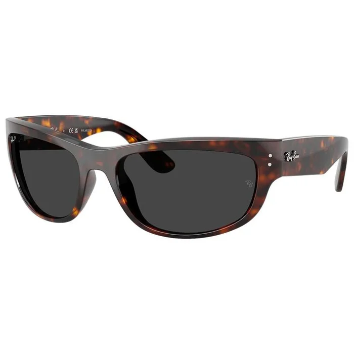 Lunettes de soleil Ray Ban RB2289 Mega Balorama Polished Havana Polar Black