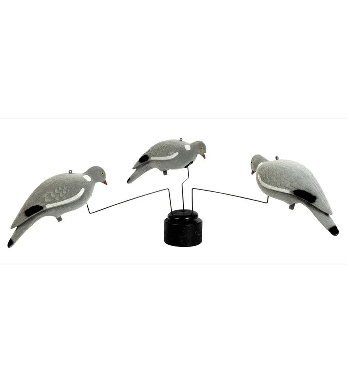 Manège pour formes de pigeon Stepland