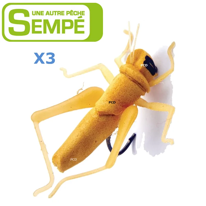 MOUCHE SEMPE NYMPHE SAUTERELLE BRUNE NON LESTEE H10 PAR 3