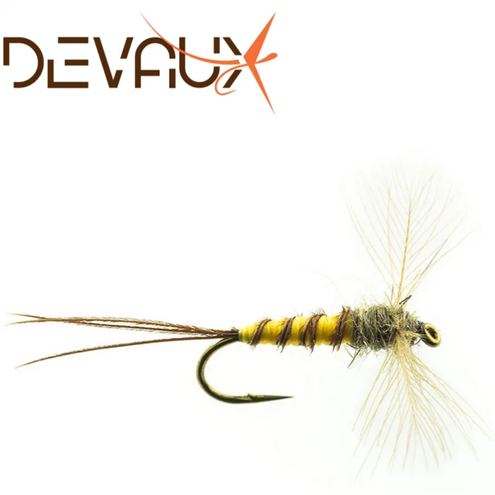 MOUCHE SPENT DEVAUX JBSMAI01 PAR 3