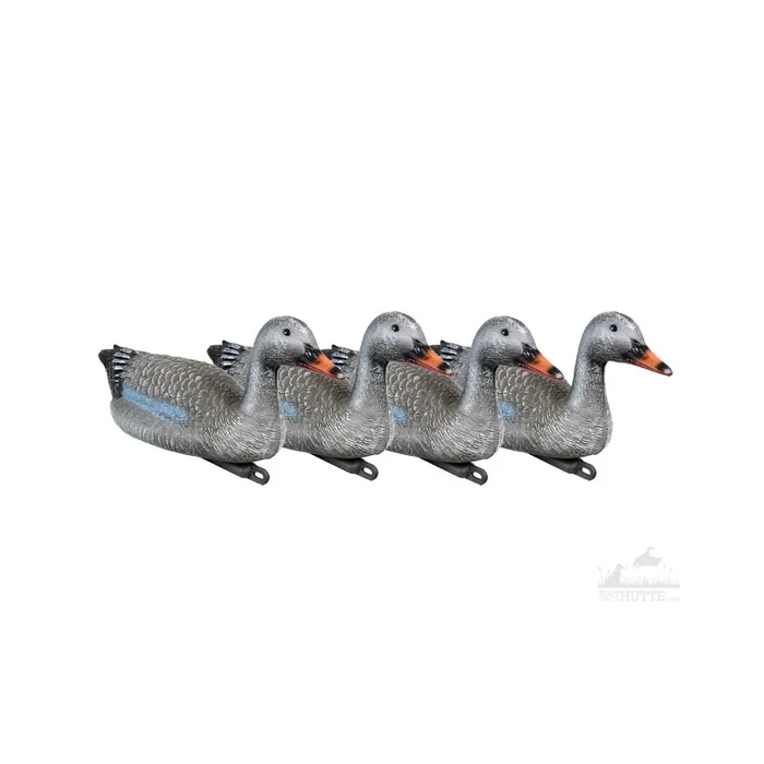 Pack 4 formes d’oie cendrée flottantes