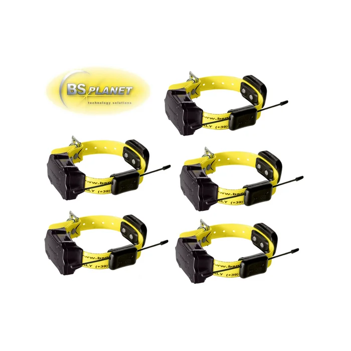PACK 5 COLLIERS DE LOCALISATION BS PLANET BS119 RS AF
