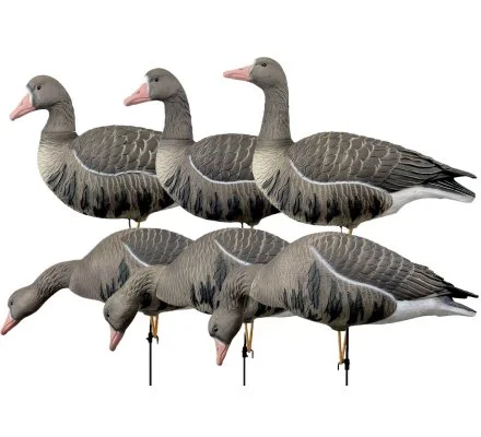 Pack 6 oies rieuses à pattes full HD XTREM MIGRATEURS