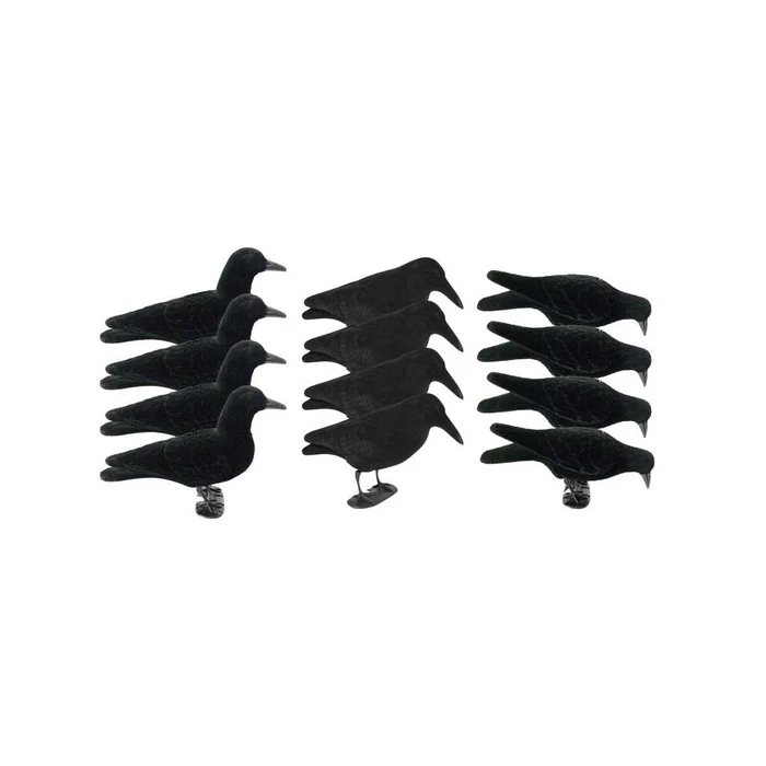 Pack attelage corbeau 2.0