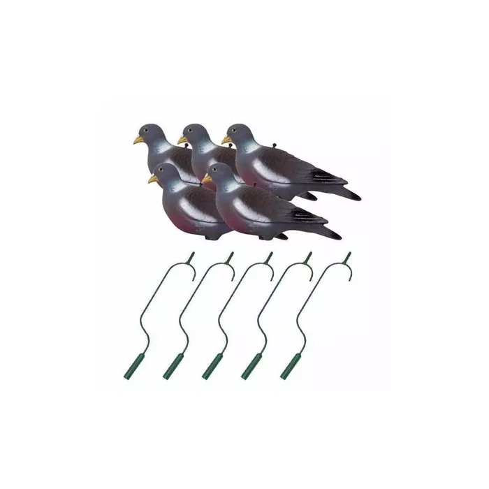 Pack irrésistible pigeon