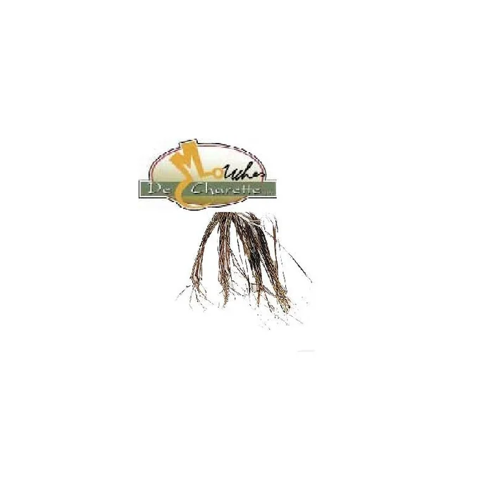 PATTES D’INSECTES JMC DE CHARETTE