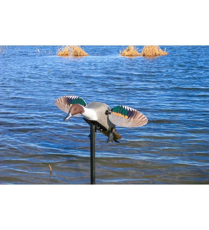 Pilet à ailes tournantes Mojo Elite Series