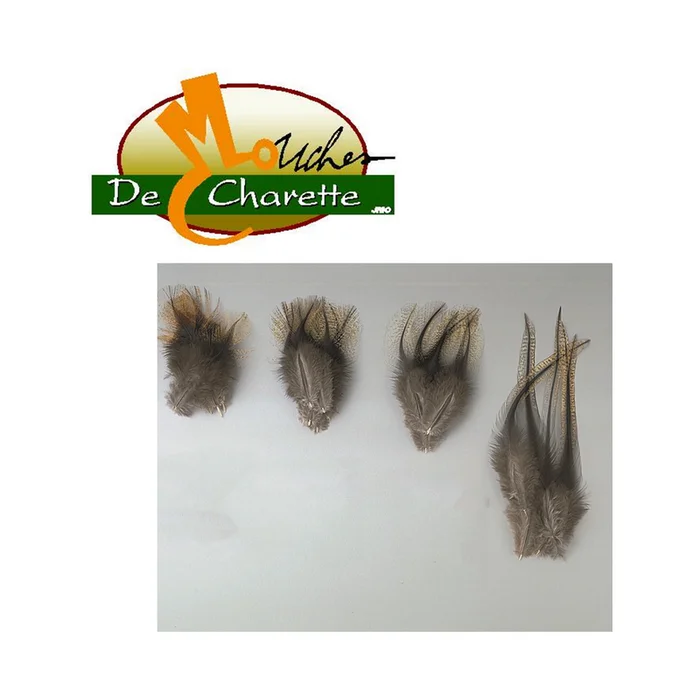 PLUMES NATURELLES DE PARDO JMC DE CHARETTE
