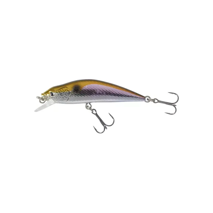 Poisson Nageur Caperlan WXM MNWFS 65 US