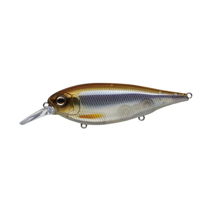 Poisson Nageur Evergreen X Over 9cm