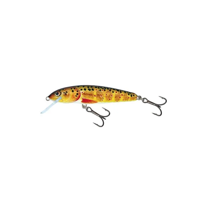 Poisson Nageur Salmo Minnow Coulant 5cm