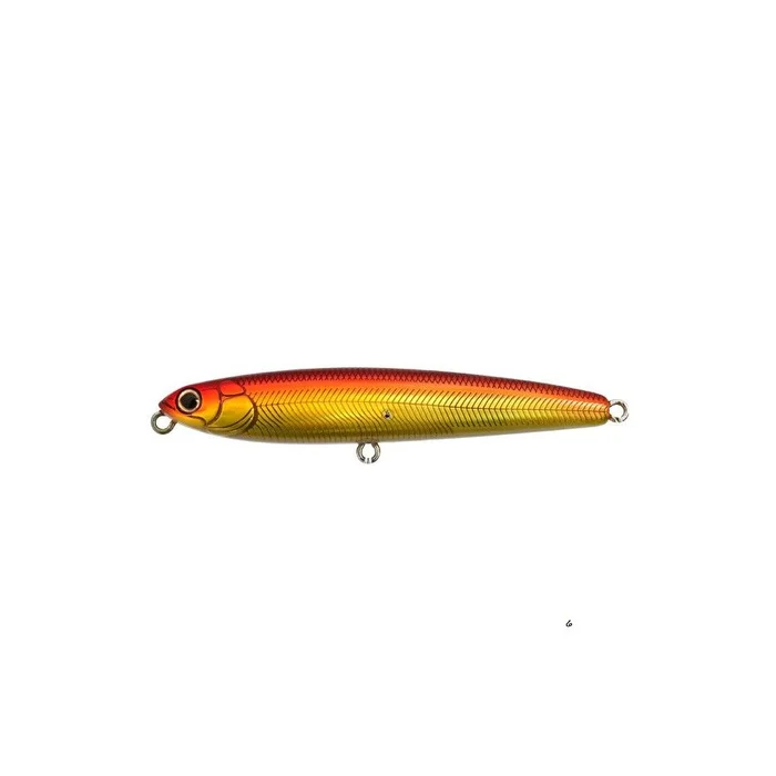 Poisson Nageur Tackle House Cruise SP 80