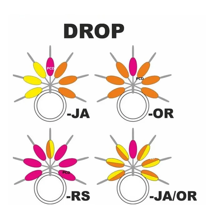 Repères De Ligne Streamline Drop Garbolino N°1 Par 7